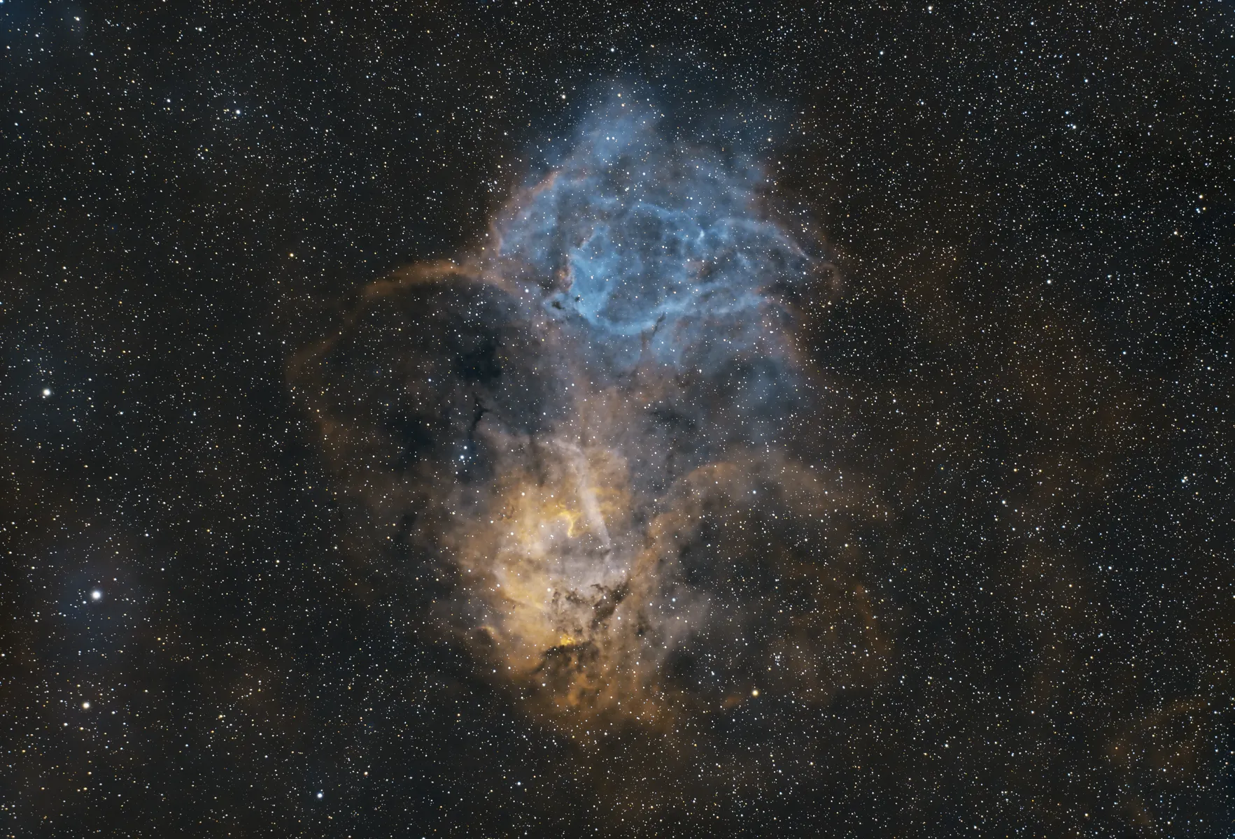 The Lion Nebula