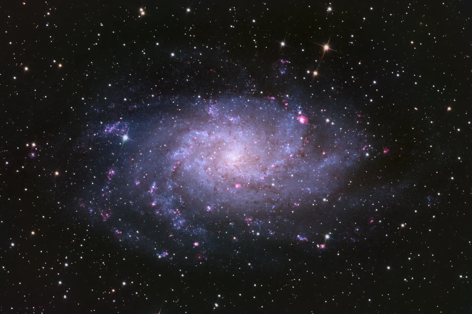 The Triangulum Galaxy